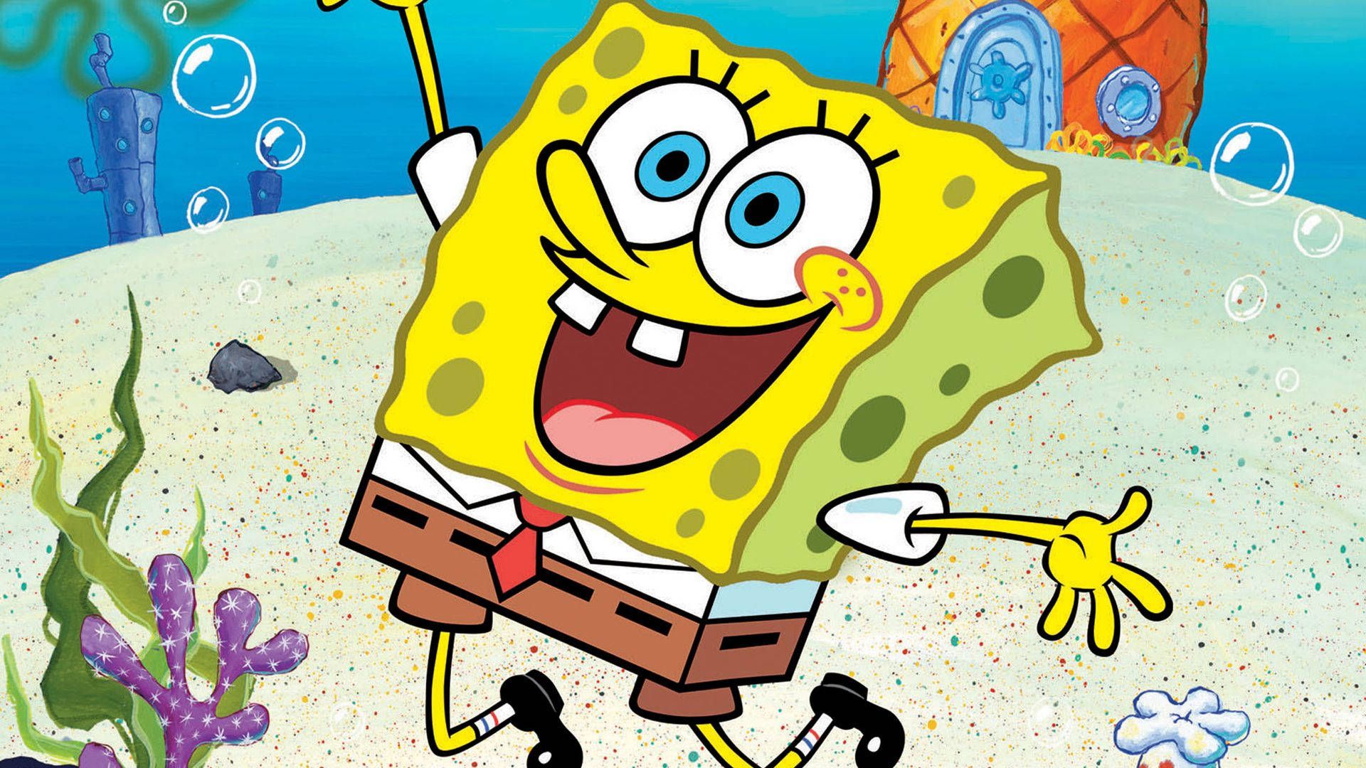 SPONGE